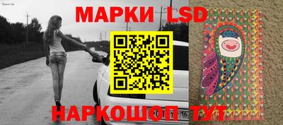 мяу мяу мука Кингисепп