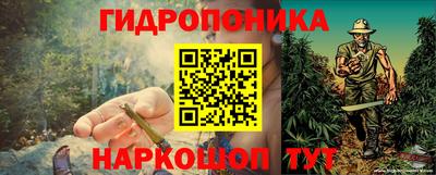 крисы Коммунар